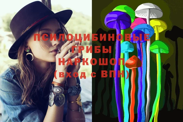 метадон Богданович