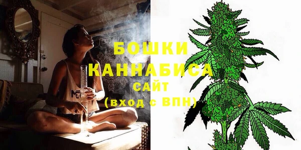 метадон Богданович