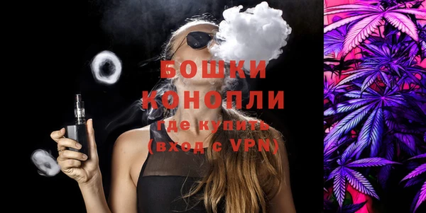 метадон Богданович