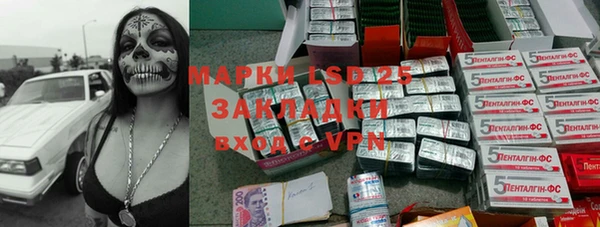 метадон Богданович