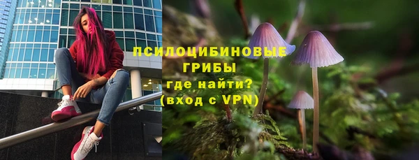jwh Богородск