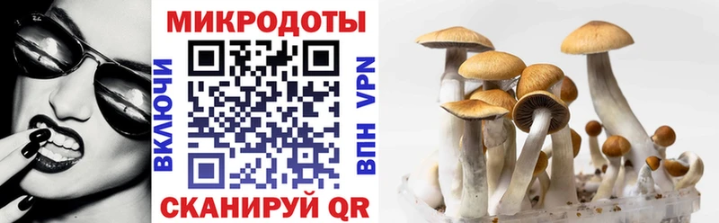 Псилоцибиновые грибы GOLDEN TEACHER omg зеркало Вятские Поляны